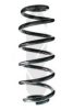 SPIDAN 86956 Coil Spring
